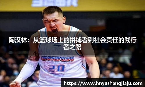 陶汉林：从篮球场上的拼搏者到社会责任的践行者之路